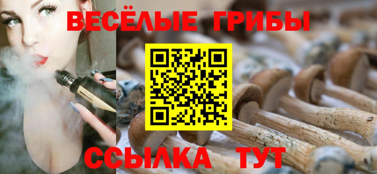 где можно купить   Псилоцибиновые грибы Magic Shrooms  Вход с VPN  Мегион 